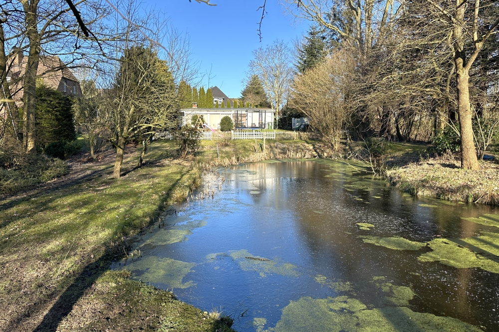 Haus 2: Blick übers Grundstück von Süd-West