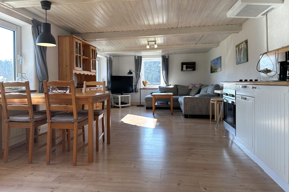 Einliegerwohnung Wohnküche