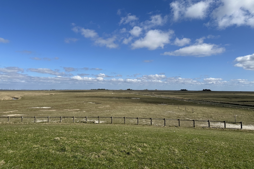 Weitblick über die Hallig