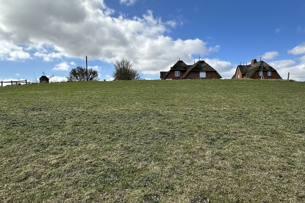 Blick von Osten auf die Warft