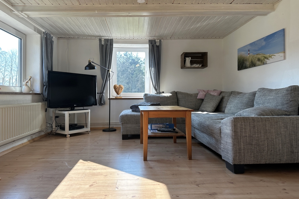 Einliegerwohnung Wohnbereich