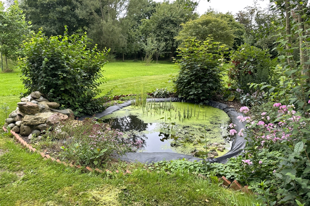einer von drei Gartenteichen
