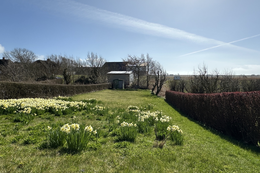 Südgarten mit Deichblick