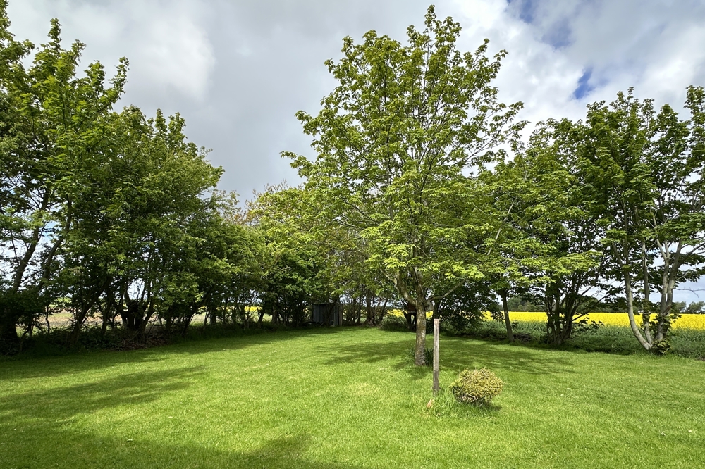 Garten nach Nord-West