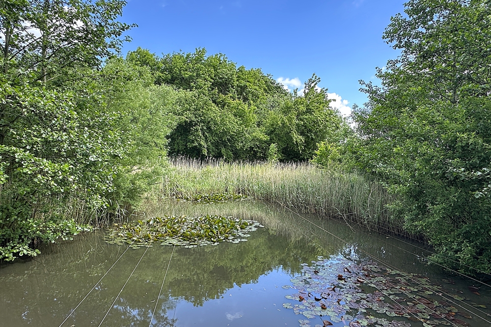 eigener Naturteich