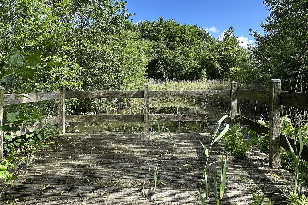 Holzterrasse über dem Naturteich