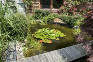 Teich im Garten
