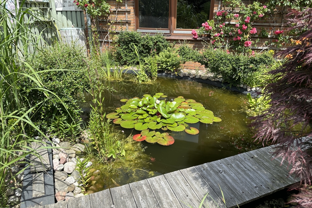 Teich im Garten