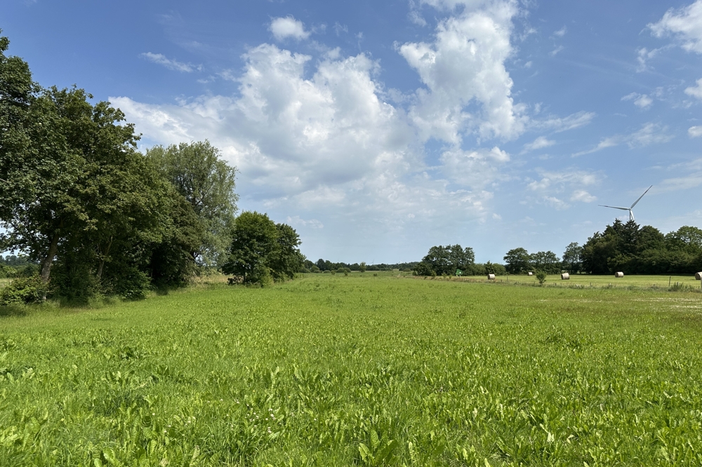 Weidefläche